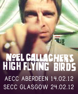 Noel Gallagher small